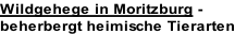 Wildgehege in Moritzburg -  beherbergt heimische Tierarten