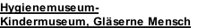 Hygienemuseum-  Kindermuseum, Gläserne Mensch